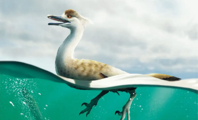 Araştırma ortaya koydu: Yeni bir dinozor türü keşfedildi - Resim : 1