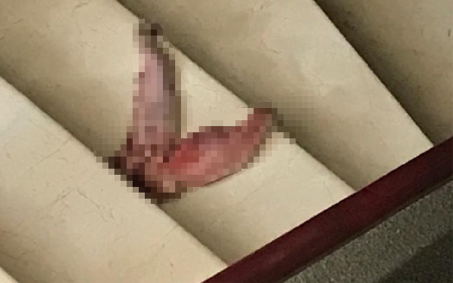 Profesöre ölüm tehditleri savuran şüpheli serbest kaldı! "Durmak yok yola devam" dedi! - Resim : 3