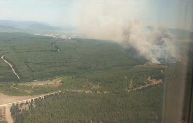 İzmir'de alevler evleri sardı, yazlıklar boşaldı! - Resim : 4