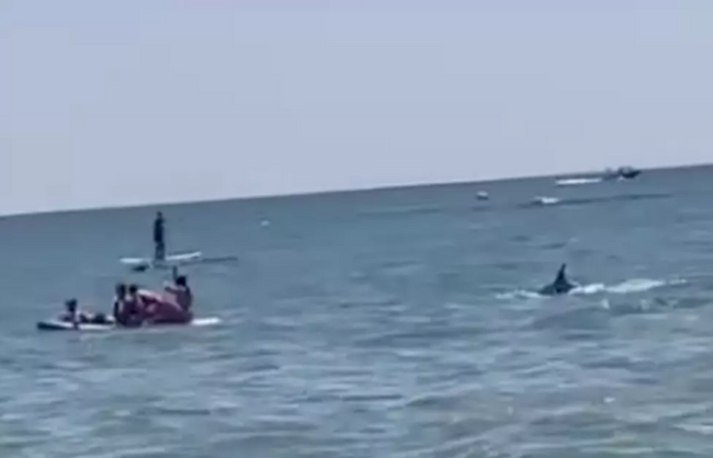 Sahilde korku dolu anlar! Önce koşarak uzaklaştılar sonra gören telefonuna sarıldı - Resim : 1