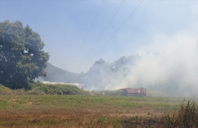 Türkiye'deki orman yangınlarında son durum ne? Bakan Yumaklı'dan rahatlatan sözler - Resim : 2