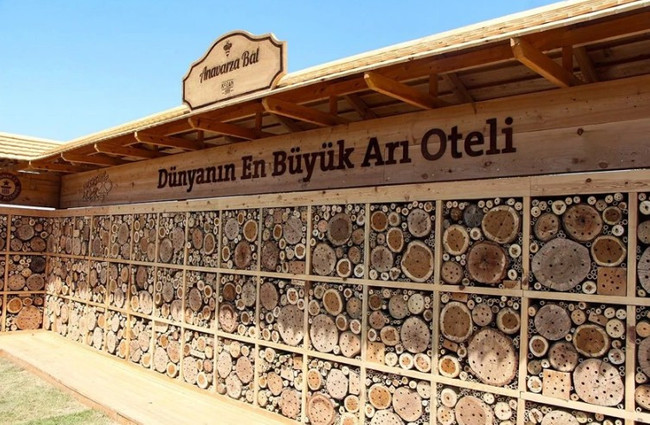 Adana'da dünya rekoru kırıldı: Guinness tescil etti - Resim : 2