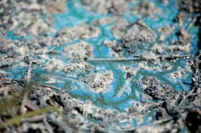 İstanbul'da korkutan görüntü için açıklama geldi! "10 gün içerisinde..." - Resim : 1