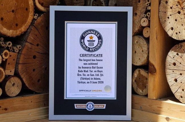 Adana'da dünya rekoru kırıldı: Guinness tescil etti - Resim : 3
