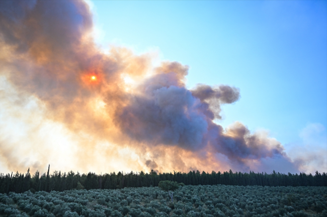 İzmir'de alevler evleri sardı, yazlıklar boşaldı! - Resim : 2
