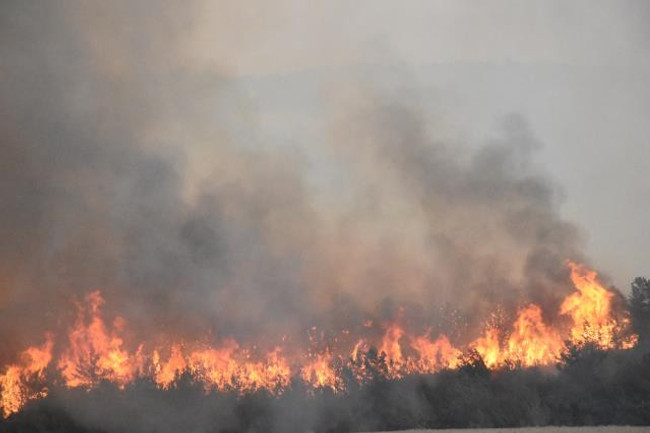 Havalar ısındı, orman yangınları başladı! OGM, hafta sonu için beklenen tehlikeye dikkat çekti - Resim : 2