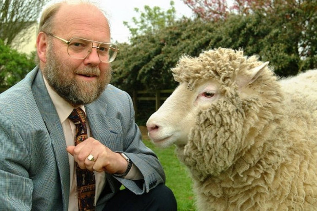 Koyun Dolly'i klonlayan bilim adamı Ian Wilmut 79 yaşında hayatını kaybetti - Resim : 1
