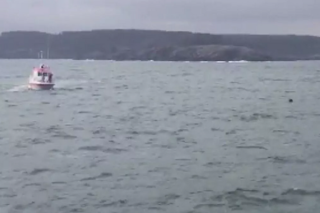 İstanbul Boğazı'nda mayın alarmı! Sahil Güvenlik harekete geçti - Resim : 1