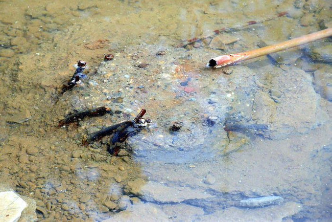Kahramanmaraş’ta skandal deprem raporu! Firari Kervan Pastanesi sahibini böyle akladılar - Resim : 3