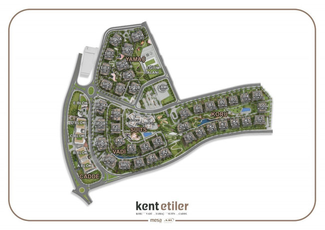 Sokağın başı hak sahibi, sonu işgalci! Bir dönüşüm hikayesi… - Resim : 1