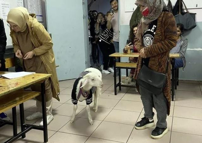 Sandıktaki o görüntüyü kahkaha atarak yorumladı: "Beraber karar veriyorlarmış" - Resim : 1