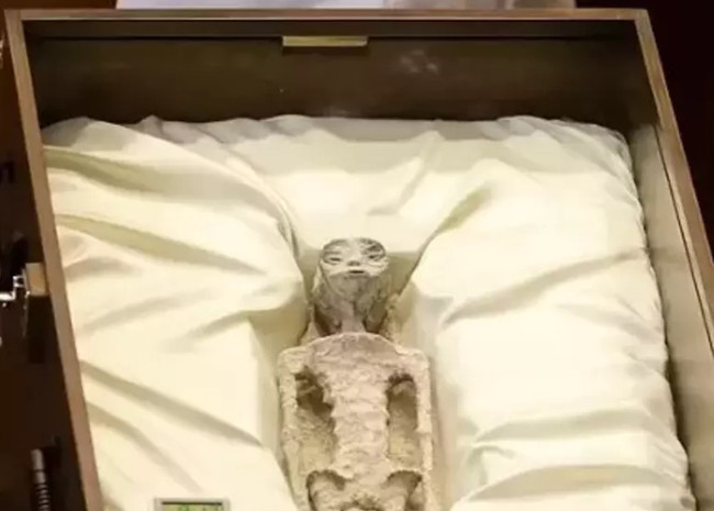 Uzaylıları resmen ifşa ettiler! En az 1000 yaşındalar, bu dünyaya ait değiller - Resim : 1