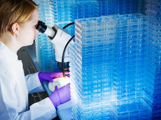 Rusya'da geliştirilen kanser aşısının insan klinik deneyleri başlıyor - Resim : 3