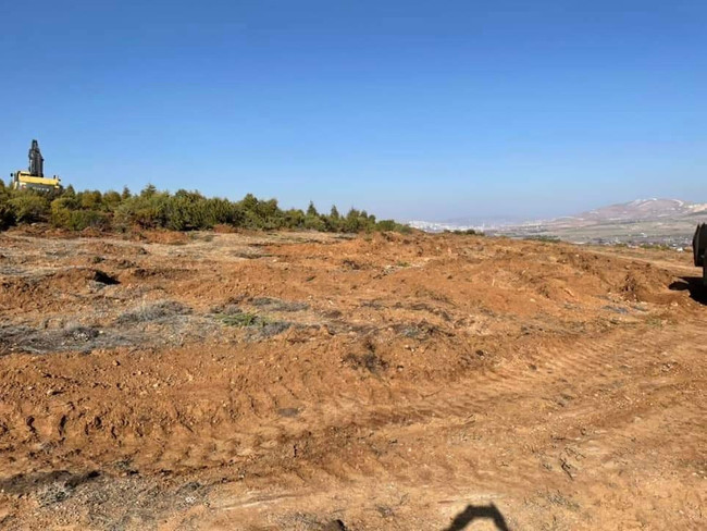 185 ağaç kesen firmaya, 5 bin ağaç dikme cezası! - Resim : 1