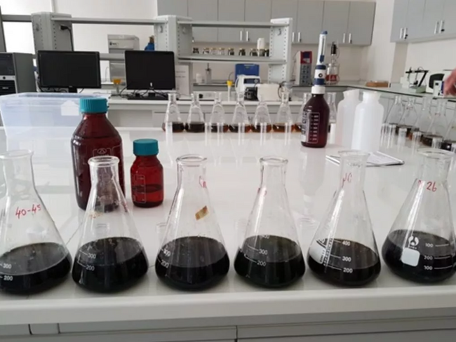 Tek tehlike müsilaj değilmiş! Marmara Denizi'ndeki yeni kabusun adı belli oldu - Resim : 2