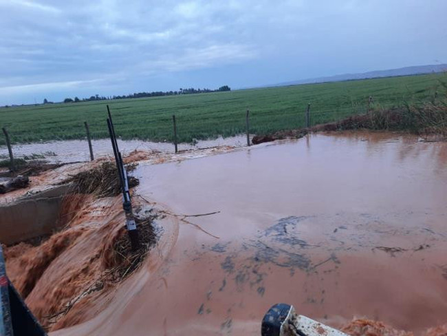 Türkiye yazı karşılamaya hazırlanırken il ve ilçeleri sel vurdu, tarlalar perişan oldu - Resim : 4