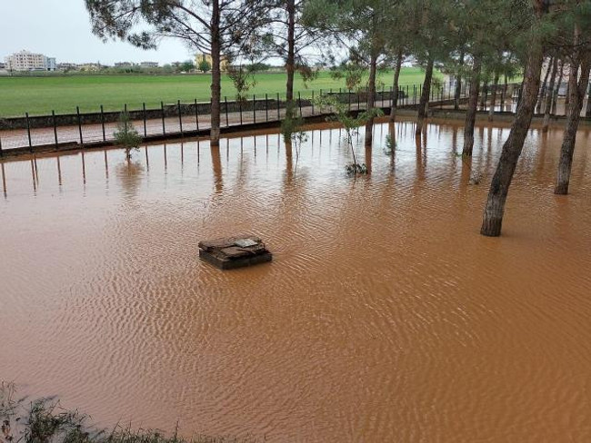 Türkiye yazı karşılamaya hazırlanırken il ve ilçeleri sel vurdu, tarlalar perişan oldu - Resim : 6