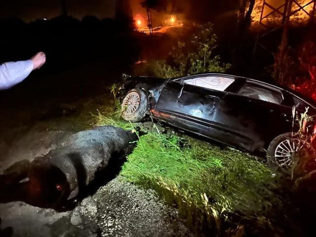 AK Partili vekil ve oğlu trafik kazası geçirdi! - Resim : 1