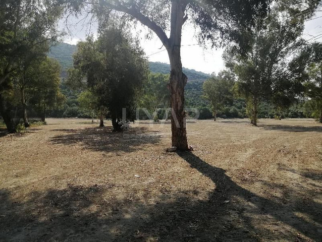 Kuşadası’nda bilirkişi skandalı! Anı Tur’un sahibi itiraz etti fiyat iki katına fırladı! - Resim : 3