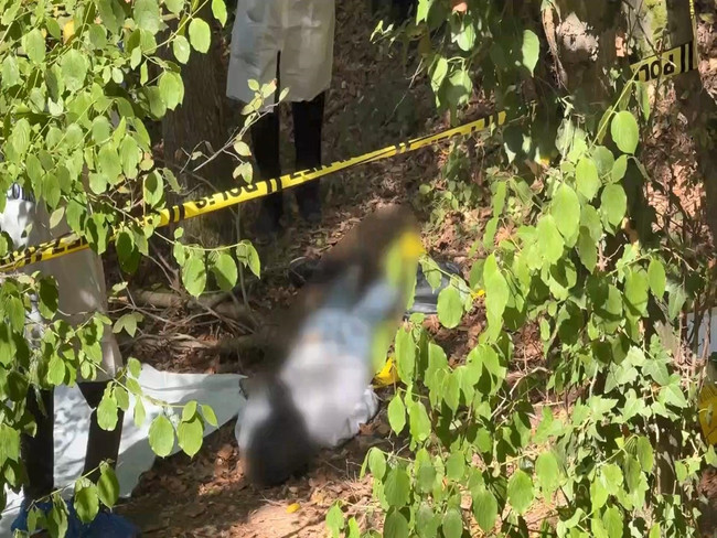 Çeçen öğrencinin sır dolu ölümü: "Bunu okuyorsan ölmüşüm demektir" - Resim : 2