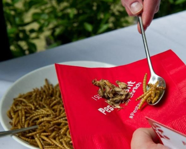 Çekirgeli çikolatalar market raflarına geliyor! - Resim : 2