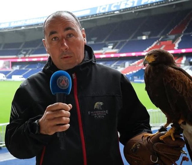 PSG'den saha zeminini korumak için akıllara durgunluk veren yöntem! Şahinler görev yapacak - Resim : 1