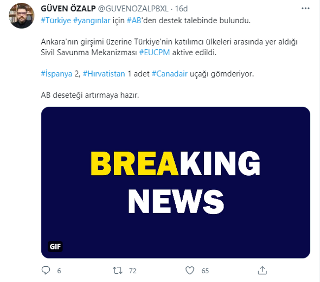 Türkiye'den yangınlarla mücadele için AB'ye destek talebi - Resim : 1