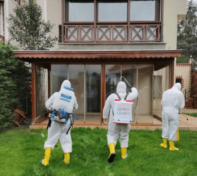 Emel Müftüoğlu'nun koronavirüs paniği! Tüm site... - Resim : 2