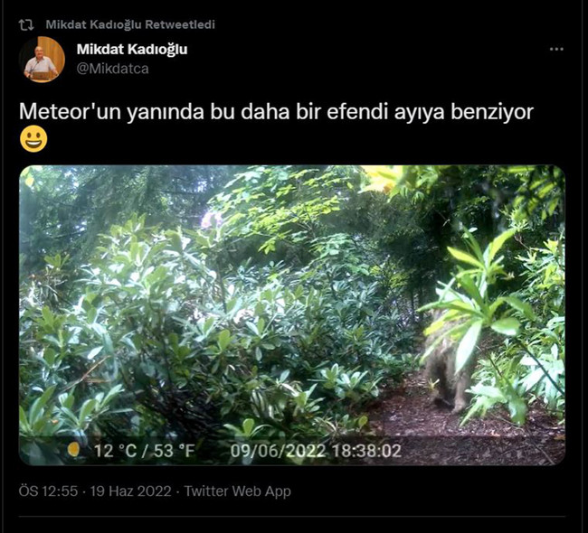 Prof. Dr. Mikdat Kadıoğlu kamera kurdu, evine dadanan bozayıları görüntüledi - Resim : 2