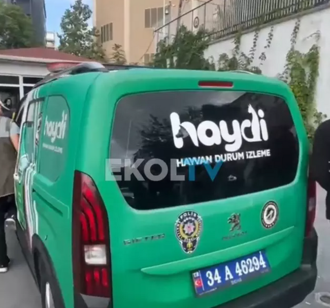 Ekol TV'nin TikTok haberciliği! Bas logoyu, yaptır haberi… - Resim : 6