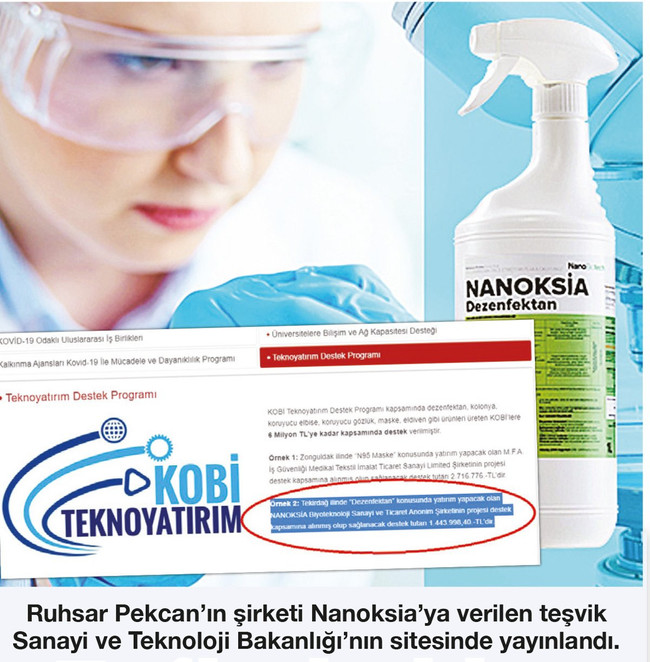 Eski bakan Pekcan'ın şirketine 1.4 milyon TL devlet desteği! - Resim : 1
