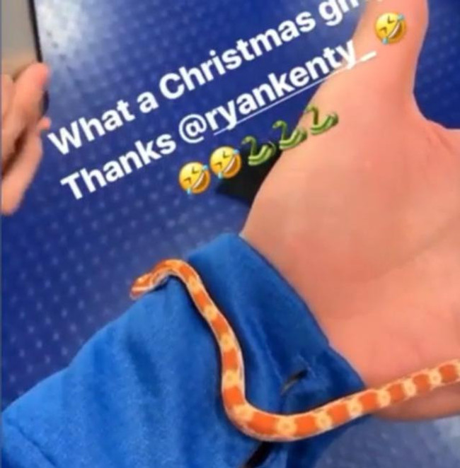 Fenerbahçe'nin yeni transferinin evcil hayvanını görenler inanamıyor - Resim : 2