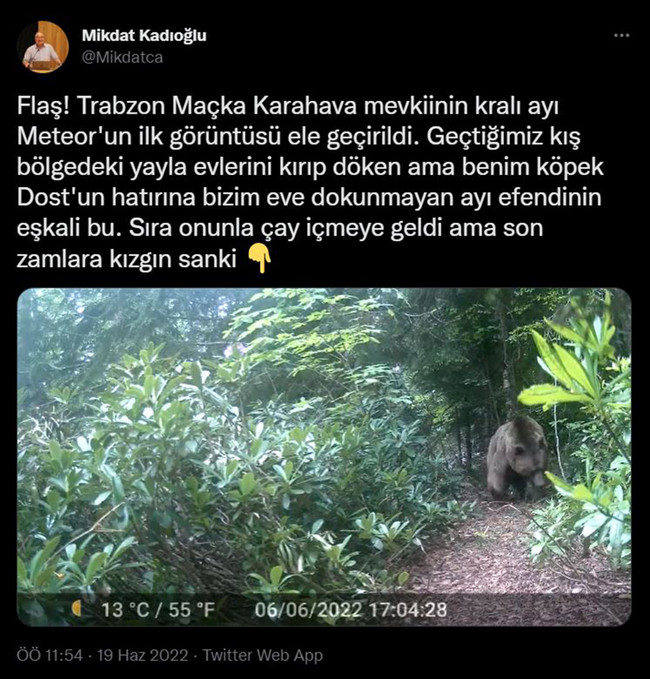 Prof. Dr. Mikdat Kadıoğlu kamera kurdu, evine dadanan bozayıları görüntüledi - Resim : 1