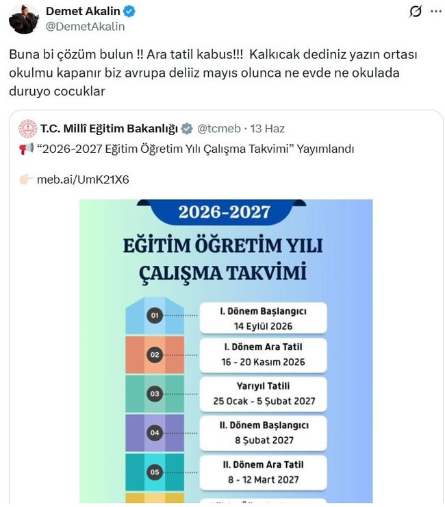 Demet Akalın'dan bakanlığa tepki: 'Buna bir çözüm bulun!' - Resim : 1