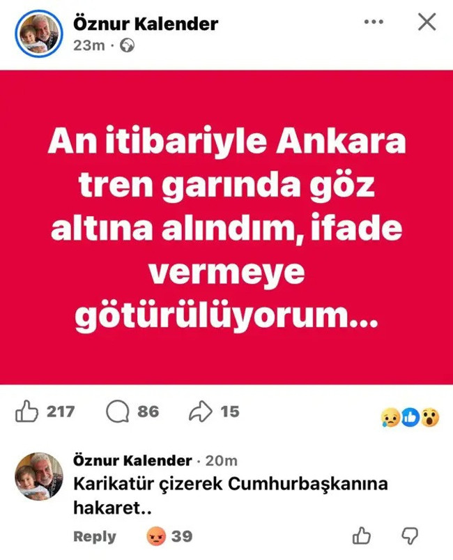 Karikatürist Öznur Kalender  'Cumhurbaşkanına hakaret'ten gözaltına alındı - Resim : 1