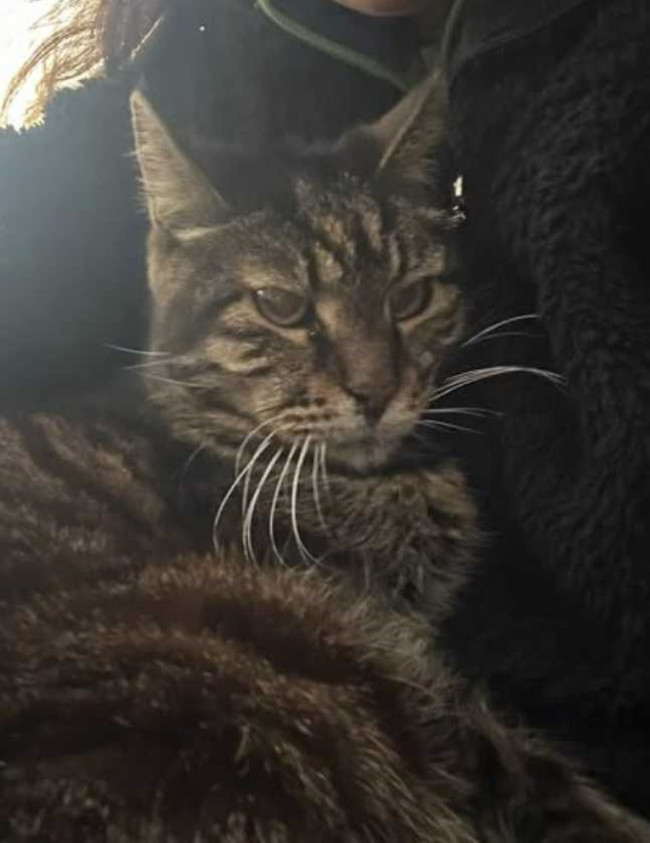 Oyuncu Binnur Kaya'nın acı günü! ‘Misafir olduğumuz bu dünyada…’ - Resim : 1