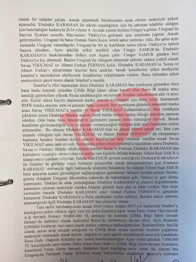 'Tosuncuk' Mehmet Aydın'ın ifadesi ortaya çıktı! Paraları nasıl yurt dışına çıkardı? - Resim : 7