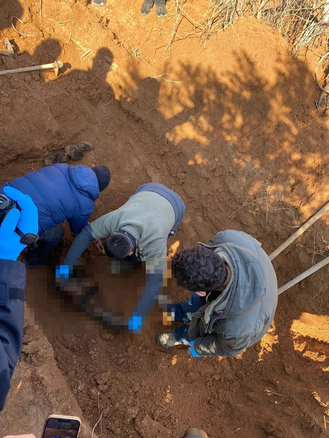 Polisin yakaladığı terörist, örgüt içi infazı itiraf etti: Öldürüp evin bahçesine gömmüş - Resim : 2