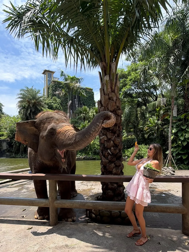 Yakalama kararı çıkarılan Merve Taşkın'dan ilk açıklama - Resim : 2