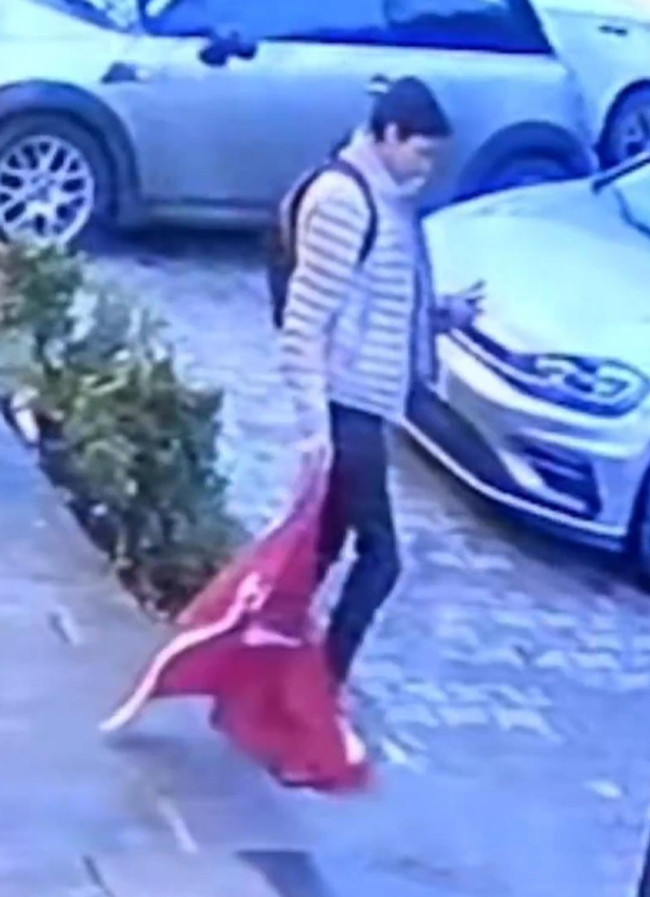 Sosyal medyada infial yaratan görüntüler! Türk bayrağını yerinden söküp... - Resim : 2