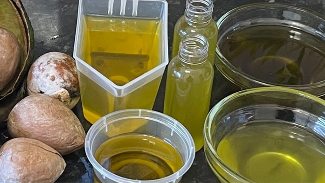 Avokado çekirdeği yağı hazırlanışı nasıl yapılır?