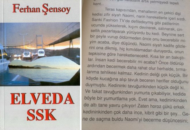 Ferhan Şensoy’un Elveda SSK kitabı gündem oldu - Resim : 1