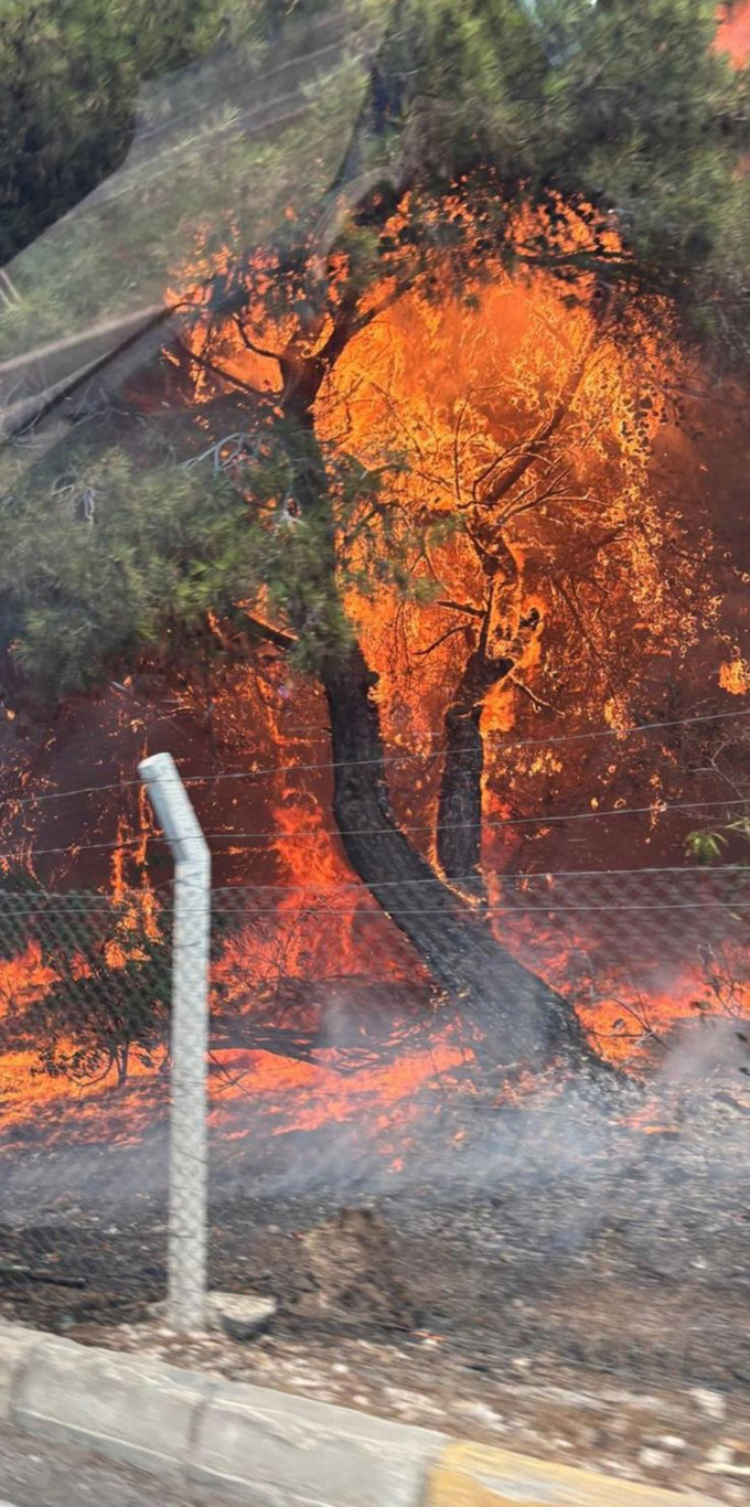 Antalya'daki yangın Bülent Ersoy'un villasına sıçradı! - Resim : 1