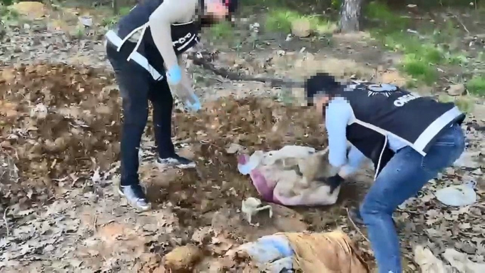 İstanbul'da toprağın altına gömülü cephane ortaya çıktı! Türkiye tarihinde bir ilk - Resim : 2