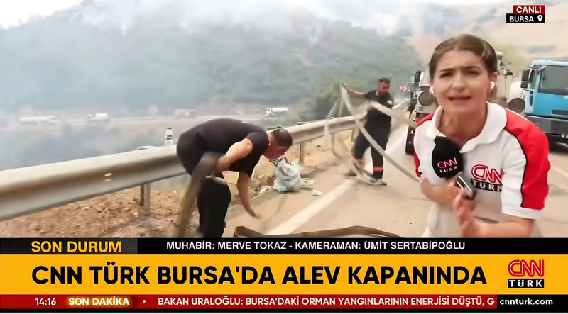 Yeşil küle dönerken nefret objesi haline gelen bir sözde ünlü: Dilan Çıtak - Resim : 5