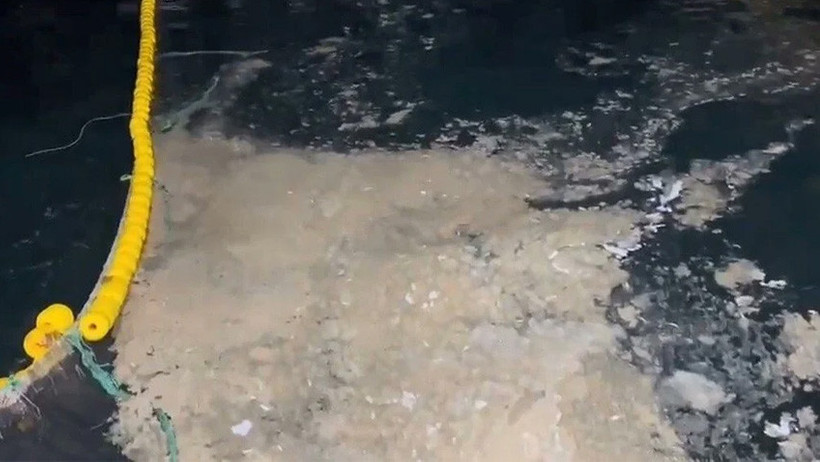 Müsilaj, Marmara Denizi'ni istila etti! - Resim : 4