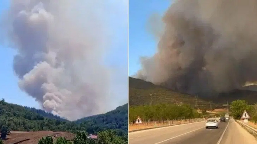 Rüzgar etkili oluyor: Bursa'da orman yangını çıktı