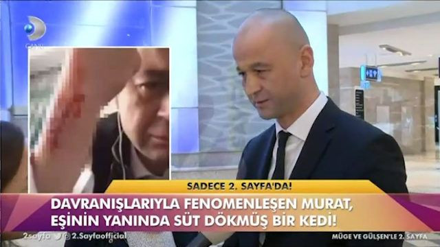 MasterChef Murat eşinin yanında süt dökmüş kediye döndü! - Sayfa 3