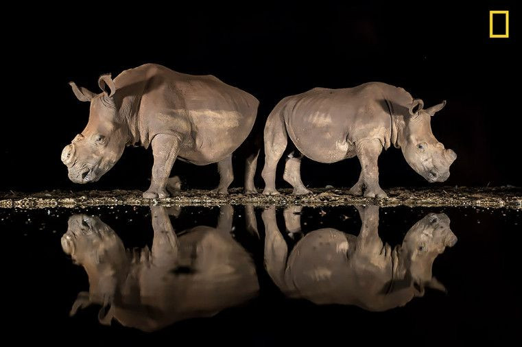 National Geographic yılın en iyi fotoğraflarını seçti - Sayfa 11