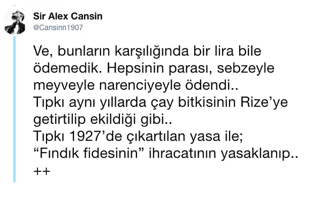 Türkiye'nin kaderini değiştiren portakalın öyküsü! - Sayfa 7